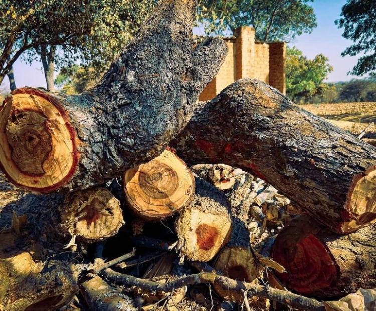 Albania Fuelwood